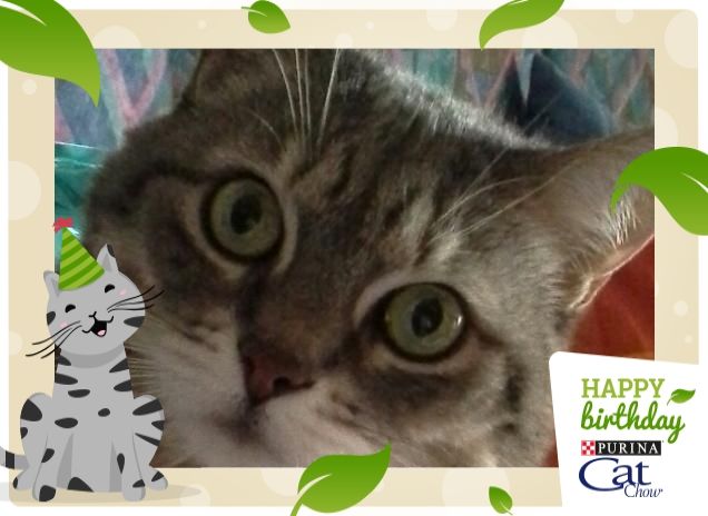 Quando senti la parola.. PAPPA 