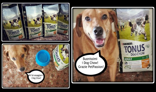 Premio 1° classificato della TOP USERS PAGE di Petpassion.tv di MAGGIO 2016