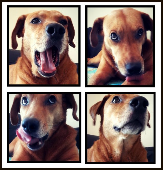 Facce buffe ne abbiamo? :-D