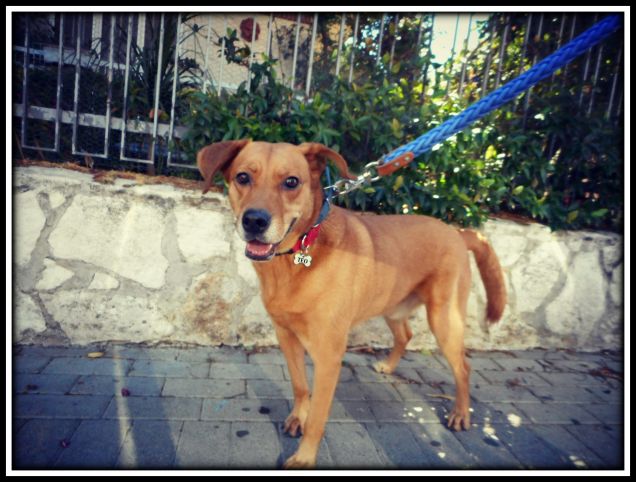 Andiamo mammaaaa.... Fai prestoooo! :-D