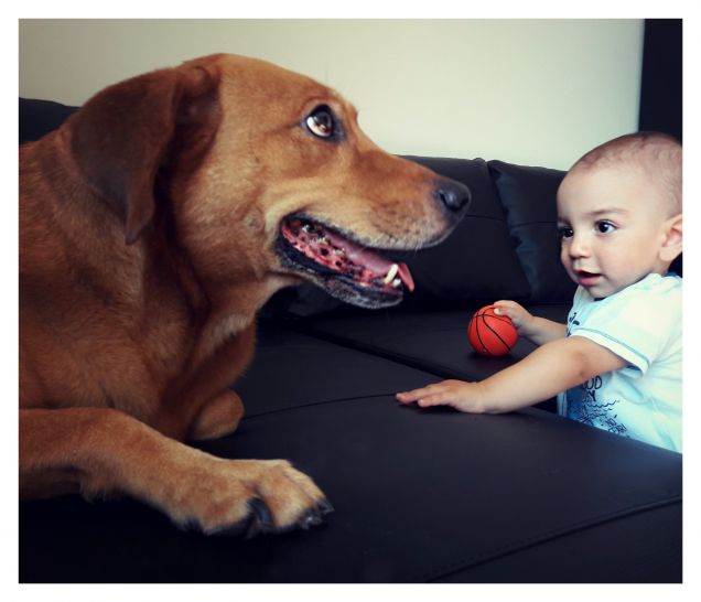 L'amicizia è quella cosa che... 'Sono geloso della mia pallina preferita, ma tu puoi giocarci...' 