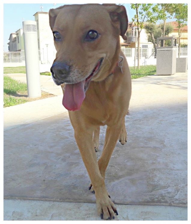 Sta ballando o sta sfilando? :-D