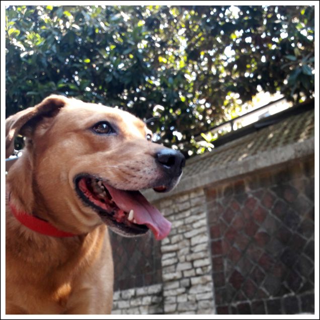 Solo chi sa apprezzare le cose semplici; trova la vera felicità