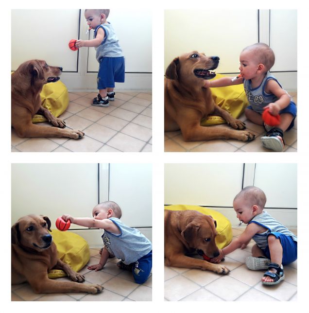 Sguardo d'intesa, complicità, amicizia pura... Giocano senza parlarsi, ma si capiscono perfettamente...