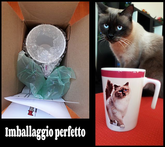 Anch'io ho ricevuto in omaggio questa bellissima tazza (intatta) firmata Purina PRO PLAN per aver partecipato  al sondaggio 'I gatti e la loro alimentazione'
