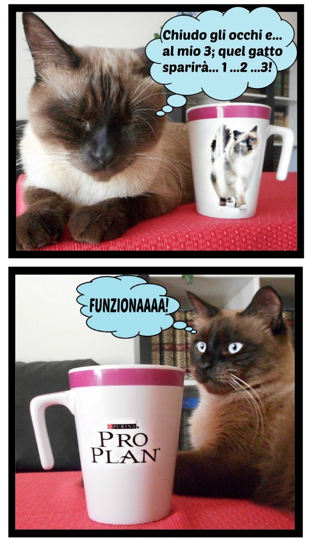 I superpoteri di Leo