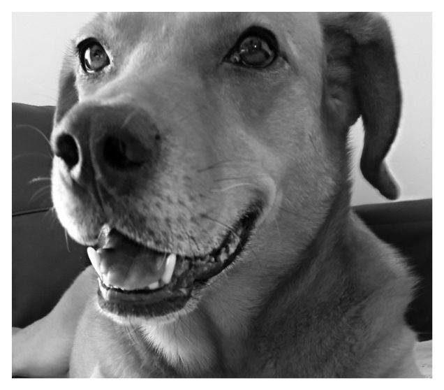 Ci sono sorrisi che danno colore anche nelle foto in bianco e nero