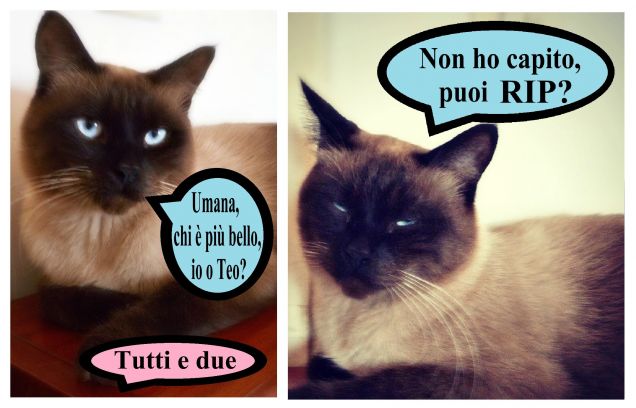 'Ripetere' Leo, si dice 'Ripetere!' ...Rip vuol dire un'altra cosa! :-D