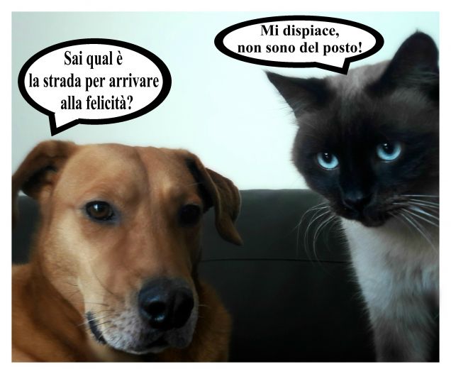 Teo & Leo