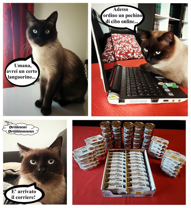 E niente... il mio Leo aveva un po' fame...