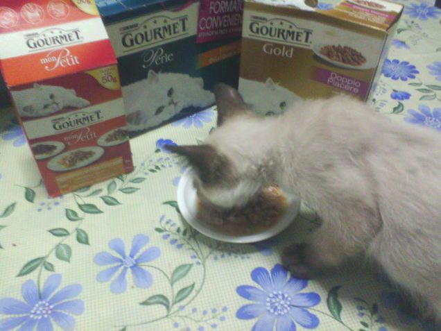 Leo & Gourmet Mon Petit