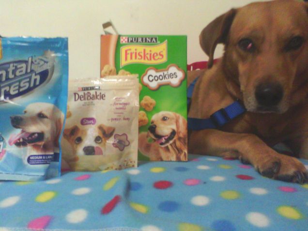 Teo ed i prodotti Purina