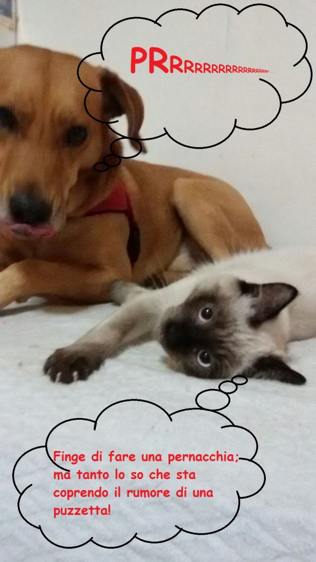 Che puzza... si salvi chi può!