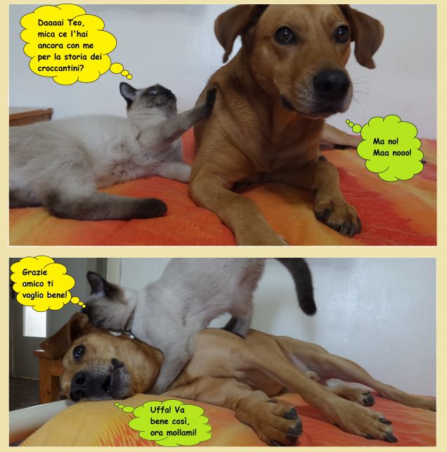 Terza parte... Il lieto fine