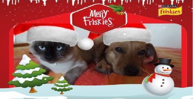 Merry Friskies!