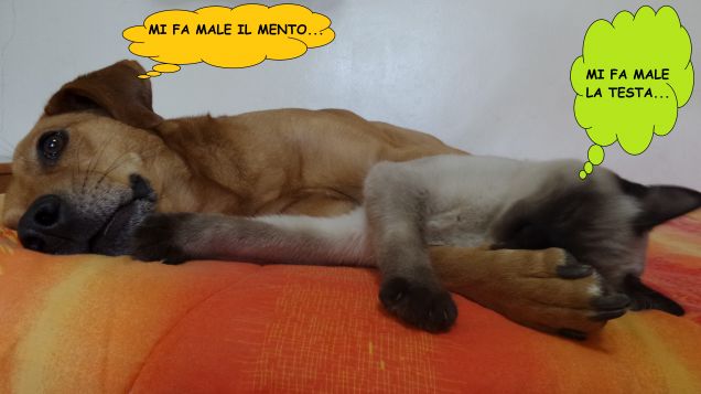 Ovviamente si scherza, Teo e Leo non hanno alcun dolore fisico.