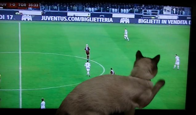 Anche Leo è un tifoso...