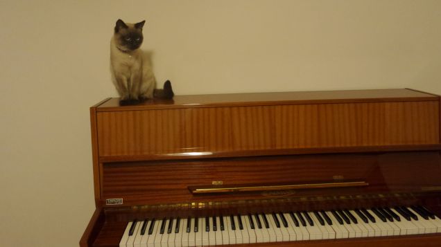 Il soprammobile che preferisco... :-P