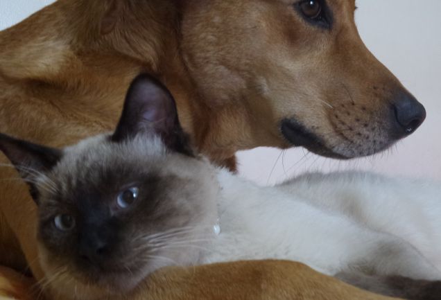 Sono capaci di tirar fuori la parte migliore di me, è merito loro se ho il cuore pieno d'amore e felicità...