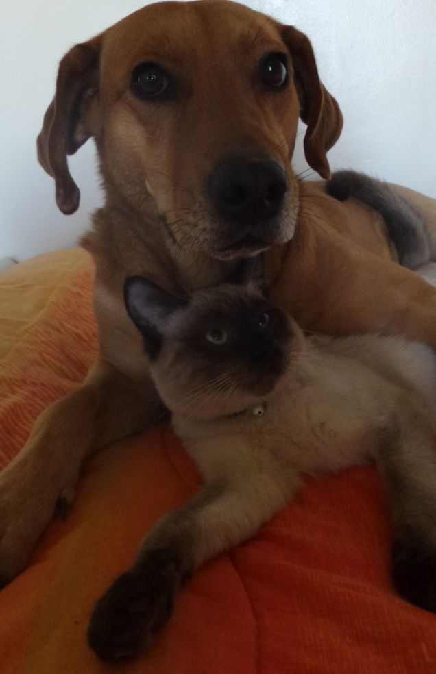 Li amo perchè è merito loro se ho il cuore pieno d'amore e felicità...