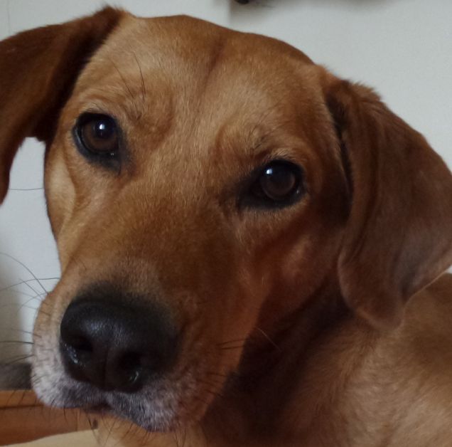 Lo amo perché... » In amore non c'è mai un perchè... Ci si sceglie e inizia un percorso fatto di emozioni.