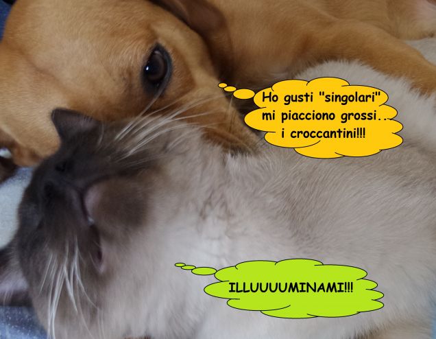 50 Sfumature di Teo & Leo...