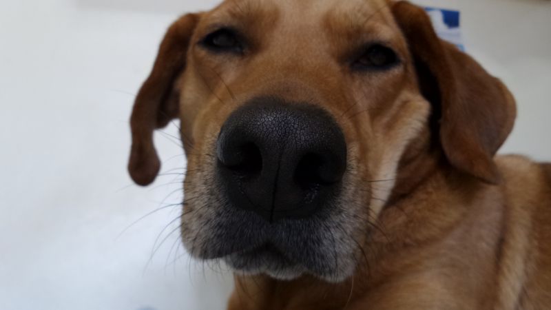 E tu, me lo daresti un bacio?