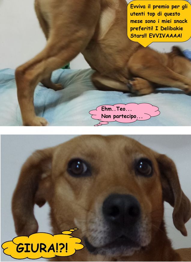 Dai Teo, i Delibakie Stars te li compro... :-D