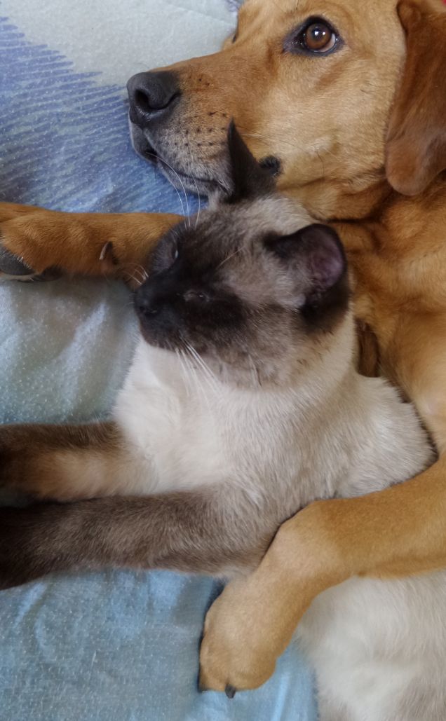 Il loro primo incontro si trasformò subito in Amicizia. Successivamente quell'amicizia divenne un legame profondo...