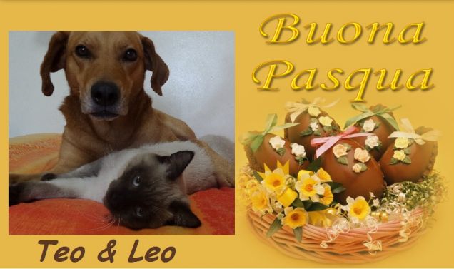 Buona Pasqua da Teo & Leo