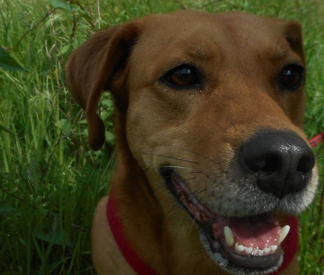 La perfetta escursione la riconosco dal sorriso che lascia sul volto del mio Teo