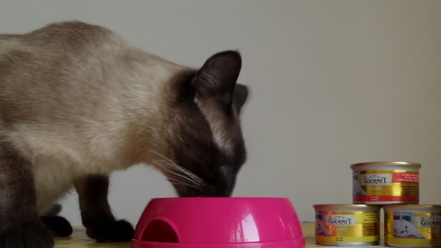 Omaggio ricevuto per aver compilato il Test: 'Il formato perfetto' 