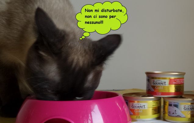 Leo e l'omaggio Gourmet Gold