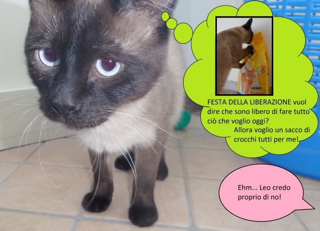 Buona Festa della Liberazione!