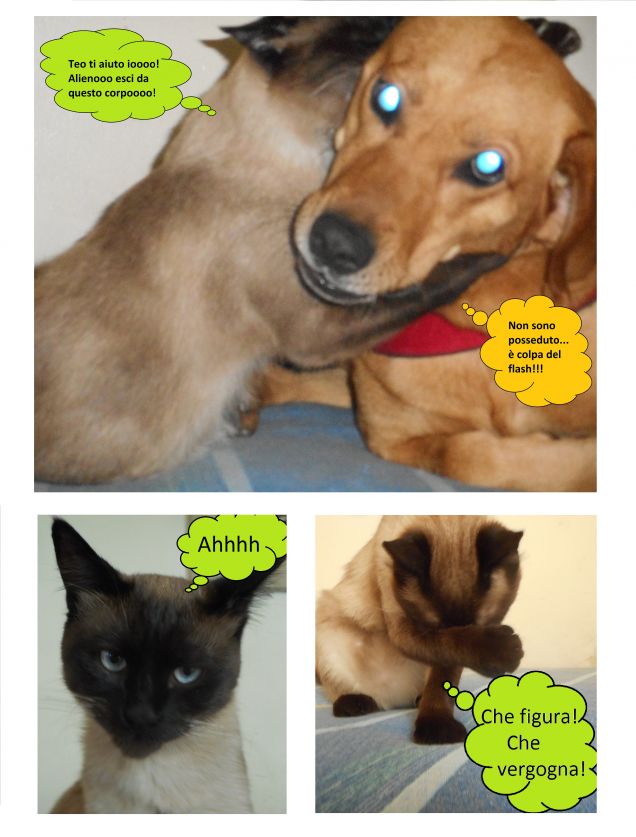 Buon inizio settimana a tutti!