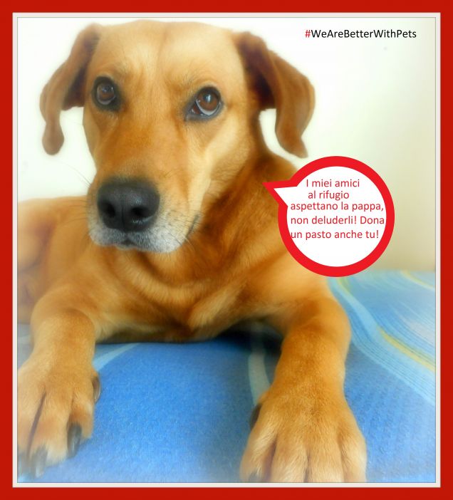 #WeAreBetterWithPets  