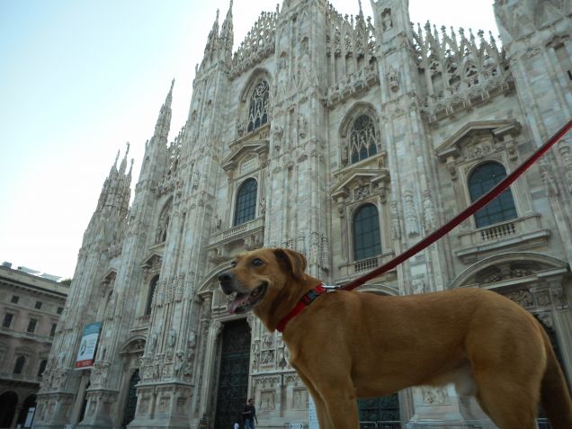 Arte, bellezza mozzafiato e amore puro, tutto racchiuso in uno scatto! :-)