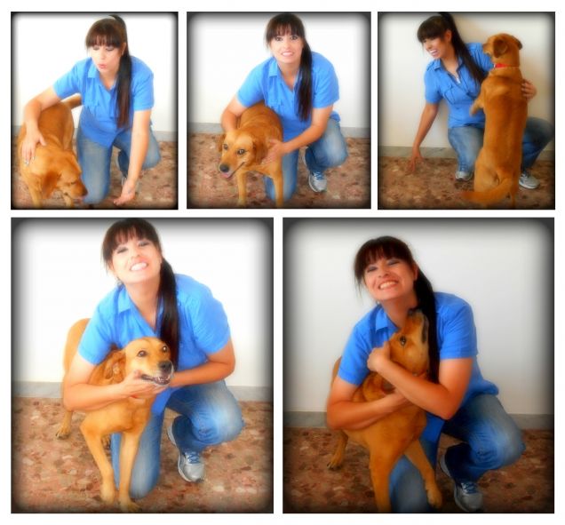 Se hai un cane, si vede! ...Perchè sei più FELICE! ‪#‎WeAreBetterWithPets‬ ‪#‎NoAbbandono‬