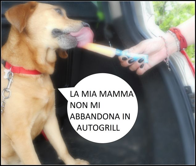 Per il mio Teo l'Autogrill  è un momento di sosta piacevole perchè gli compro sempre un ghiacciolo alla frutta... No all'abbandono!