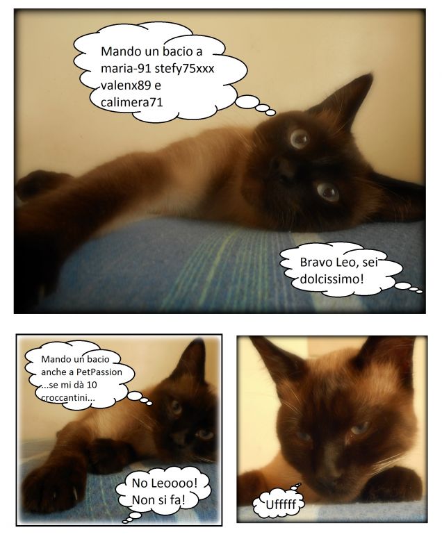  Dolce... ma non troppo! :-D ...Sempre il solito!