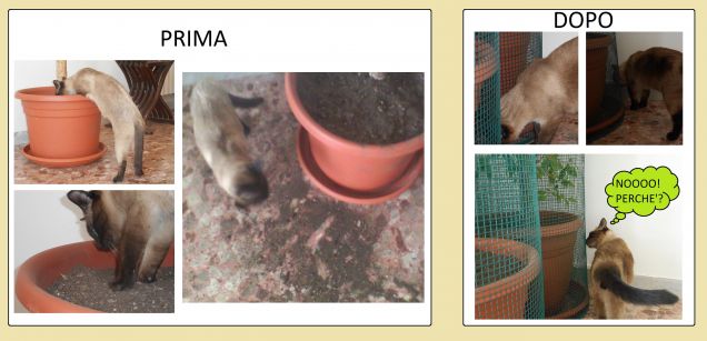 Ehm... Si trova sempre una soluzione :-D