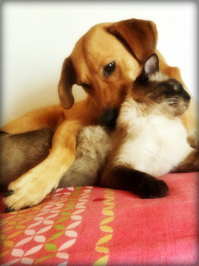 Massaggiatori ne abbiamo?