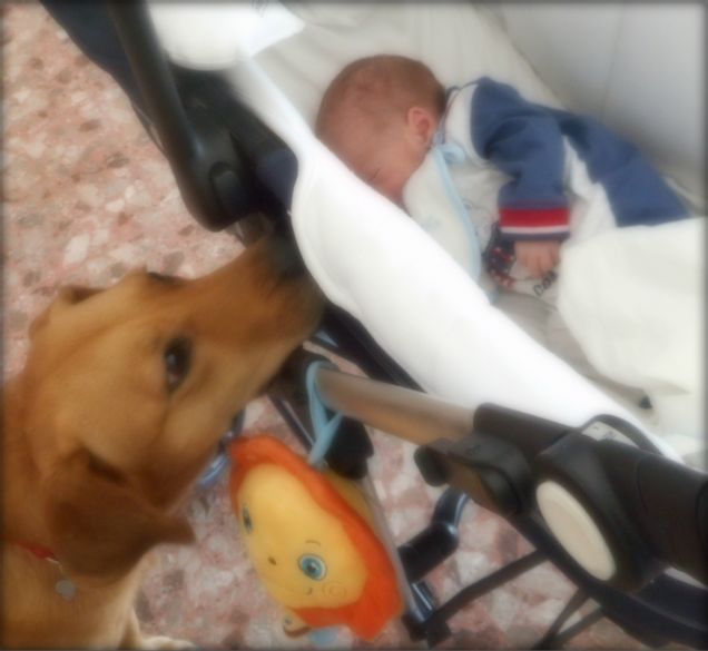 Un Baby Sitter d'eccezione...