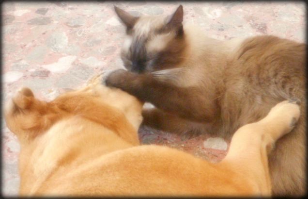 Che bacio!!! *_* La passione... :-D