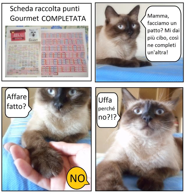 Leo e la scheda raccolta punti GOURMET completata