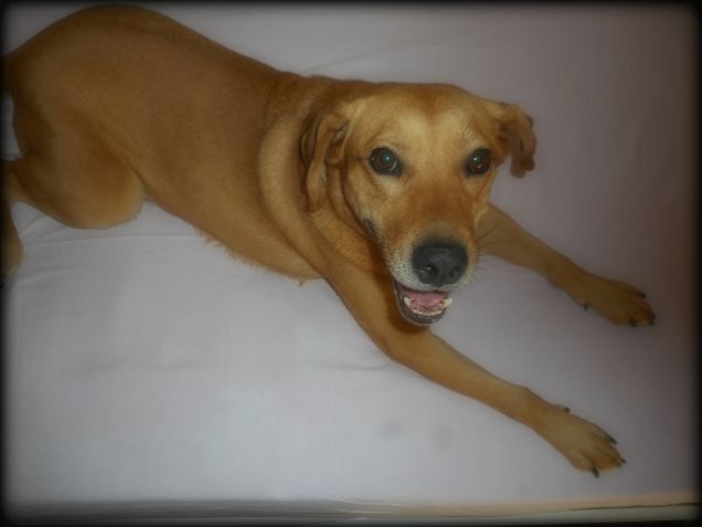 Teuccio giocherellone :-)