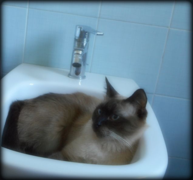 E poi boh... tutti i giorni così...