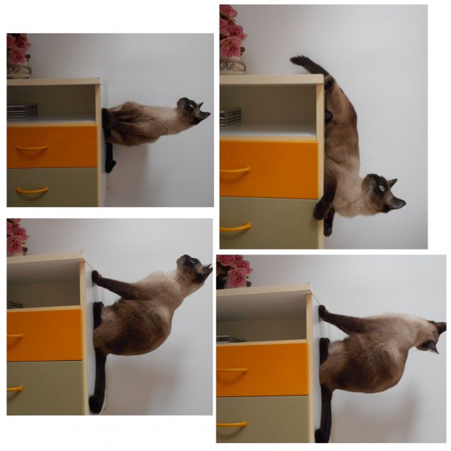 I super poteri di Leo :-D