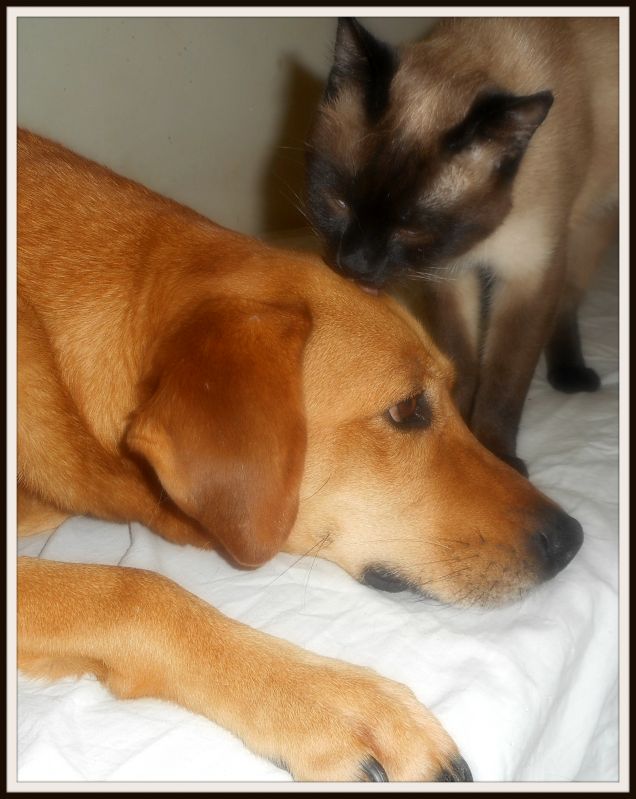 #GiornataMondialedellaGentilezza