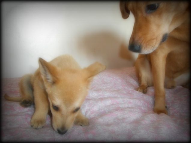 Sembrano padre e figlio...